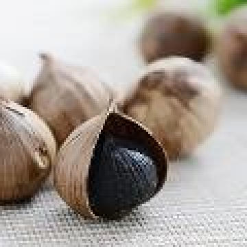 fermented black garlic hot sale from China is welcoming